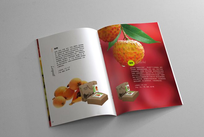 宣傳冊設計一般一頁多少錢？宣傳冊的特點有哪些？