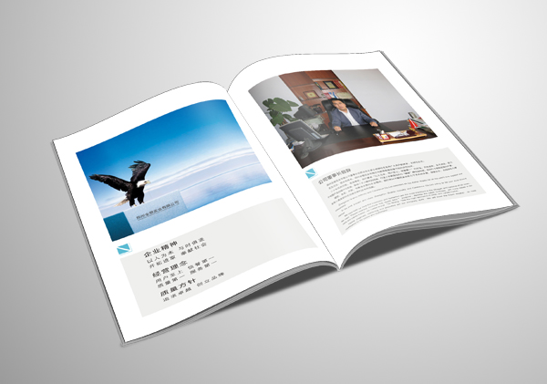 怎樣才是一本好的畫冊？
