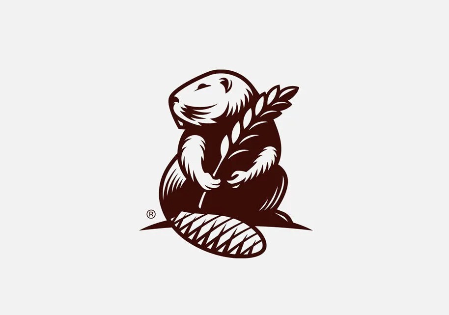 logo商標(biāo)設(shè)計(jì)要求有哪些？條件是什么