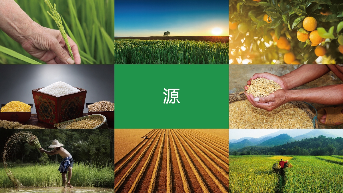 農(nóng)產(chǎn)品品牌設計技巧有哪些？怎樣塑造品牌形象