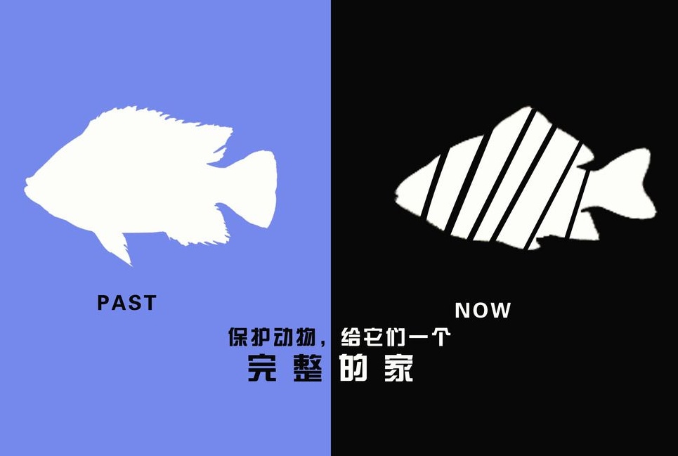 廣告設(shè)計制作有哪些要求？有哪些注意事項？