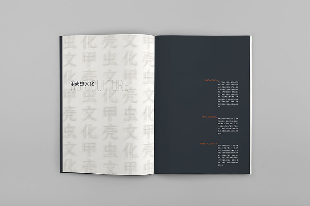 創(chuàng)意目錄冊設(shè)計(jì)-創(chuàng)意目錄冊設(shè)計(jì)公司