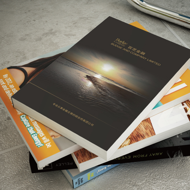 設(shè)計一P 多少費(fèi)用？設(shè)計一本畫冊設(shè)計費(fèi)用是多少錢？廣州做一本畫冊需要多少錢？