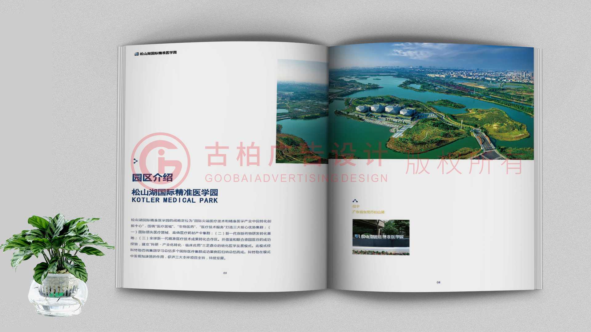 一本聚會紀(jì)念冊該如何通過排版來提升整體的美觀性？