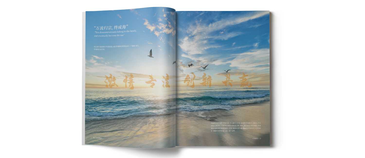 水上樂園畫冊的一些設計技巧？