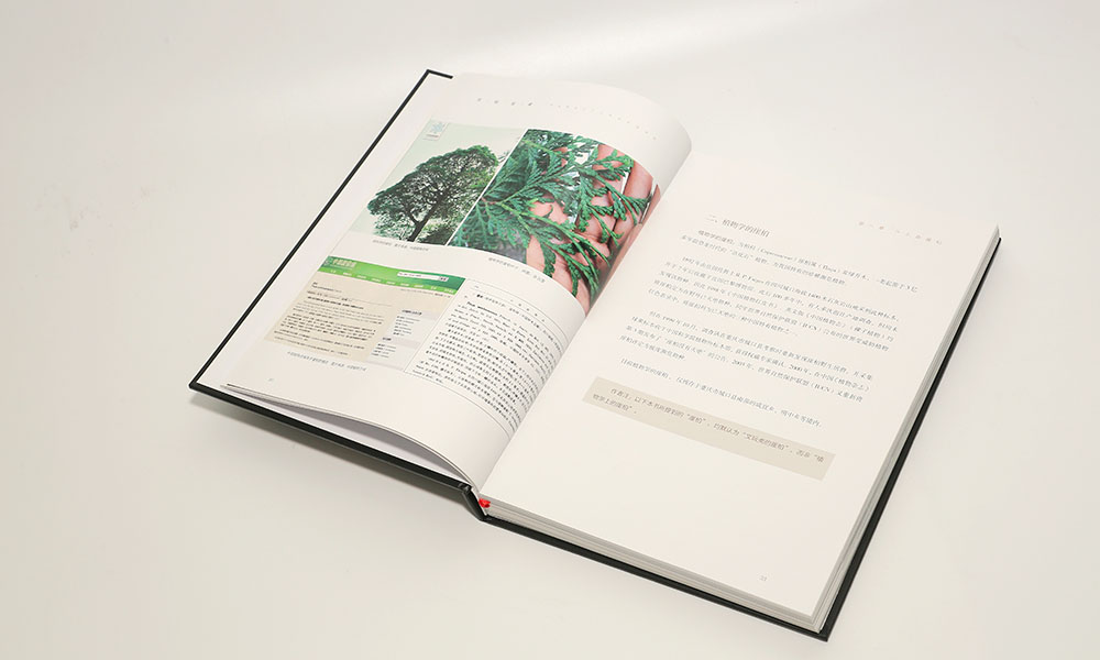 怎么學畫冊設(shè)計制作多大合適？