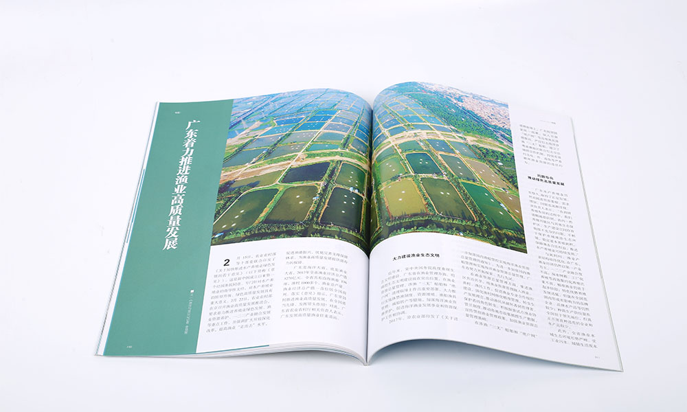 創(chuàng)意宣傳冊什么大概要多久？